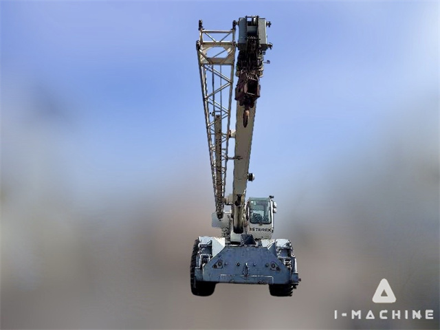 TEREX RT335
